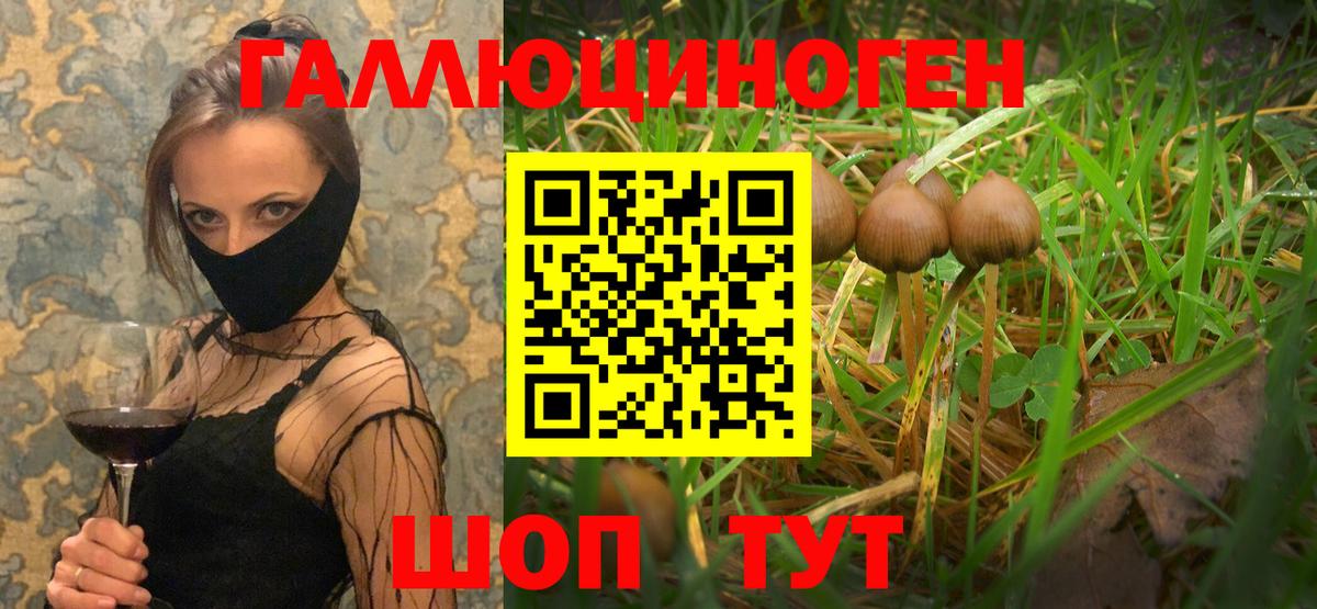 Тамбов  Галлюциногенные грибы MAGIC MUSHROOMS  Вход с VPN 
